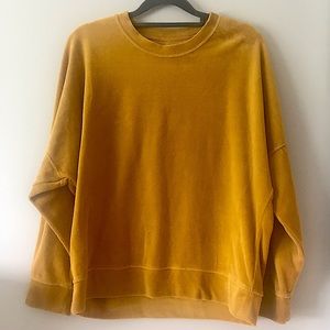 Velvet crew neck